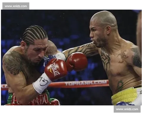 库托对决戈洛夫金引爆中量级巅峰之战时代意义解析全面前瞻与历史回顾