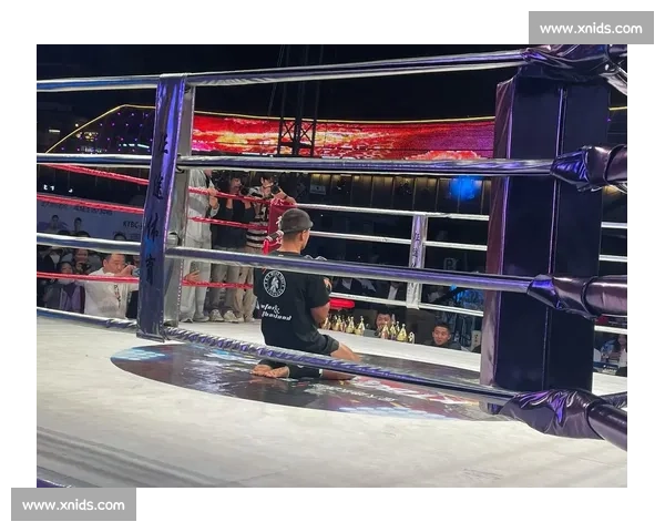 方便西提猜巅峰对决解析中国力量与泰拳王者胜负走向全面剖析赛场策略与时代意义